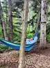 Et chacune avec leur hamac bien reposant. Photo de Jessica Dubé