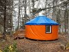 Orange yurt, surrounded by trees