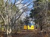 Lemon yurt, surrounded by trees and near a small stream