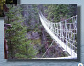 Pont suspendu que l'on peut traverser dans le sentier du Ruisseau.