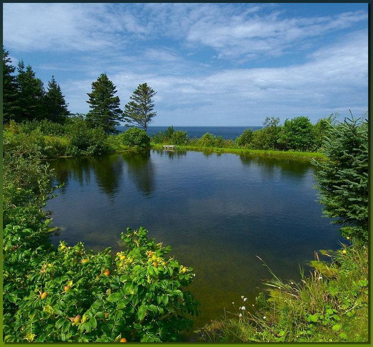 One of the trout's ponds near of the 4 1/2 cottage