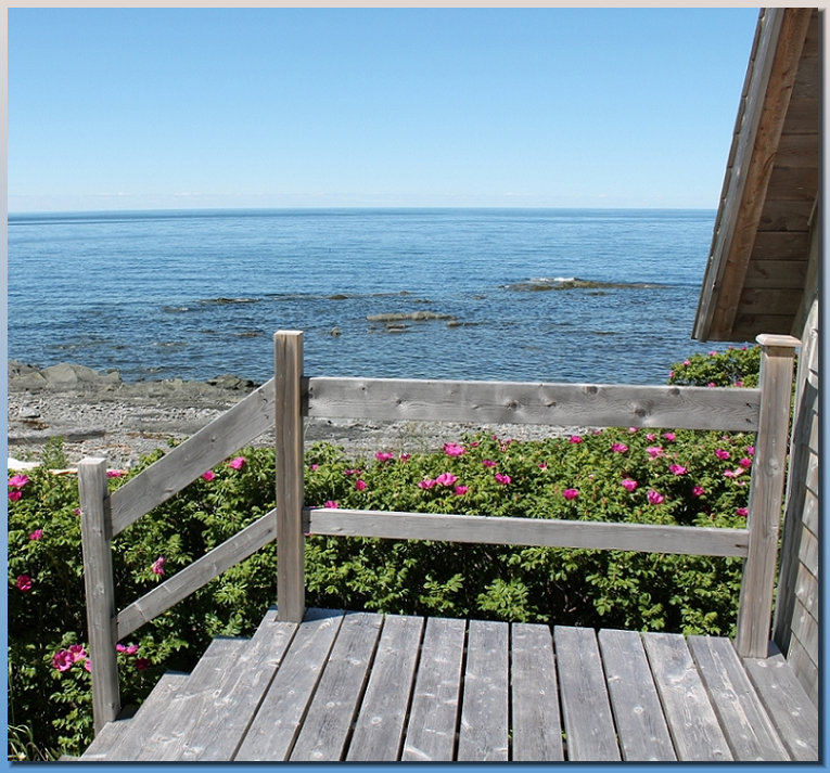 Cottage just steps from the beach