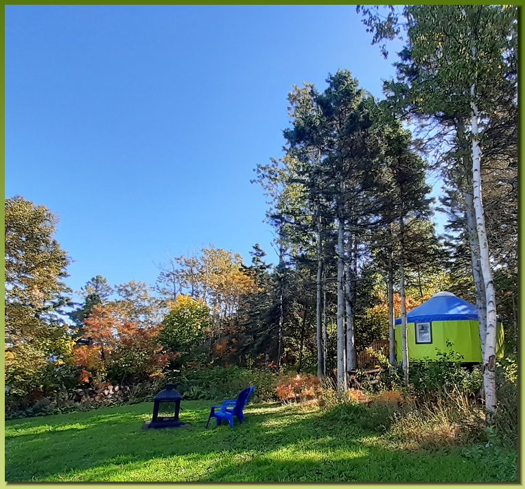 Luxurious Yurts ready-to-camp